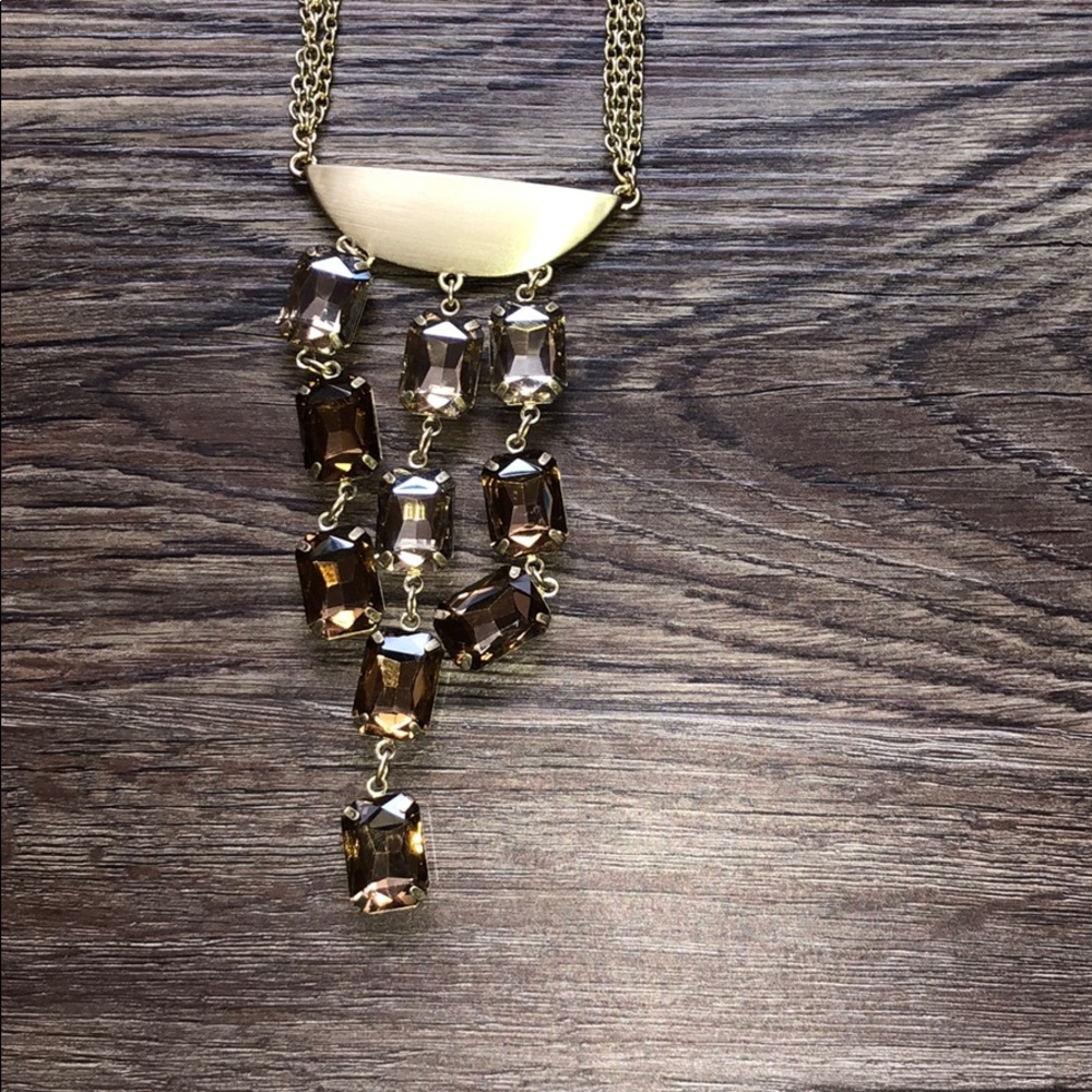 🆕 NWT The Limited Long Statement Necklace